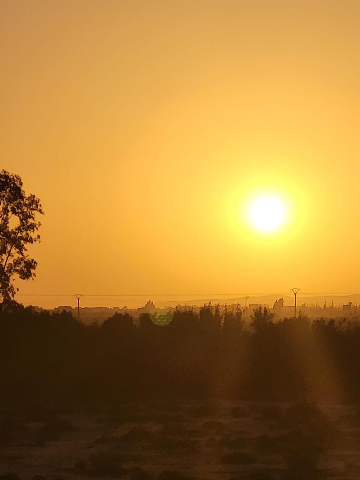 Superbe Dans Ferme * Agadir